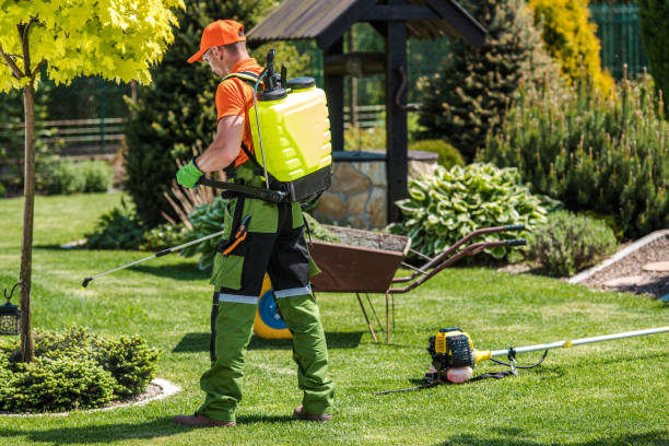 Best Bee and Wasp Removal  in Elma, WA